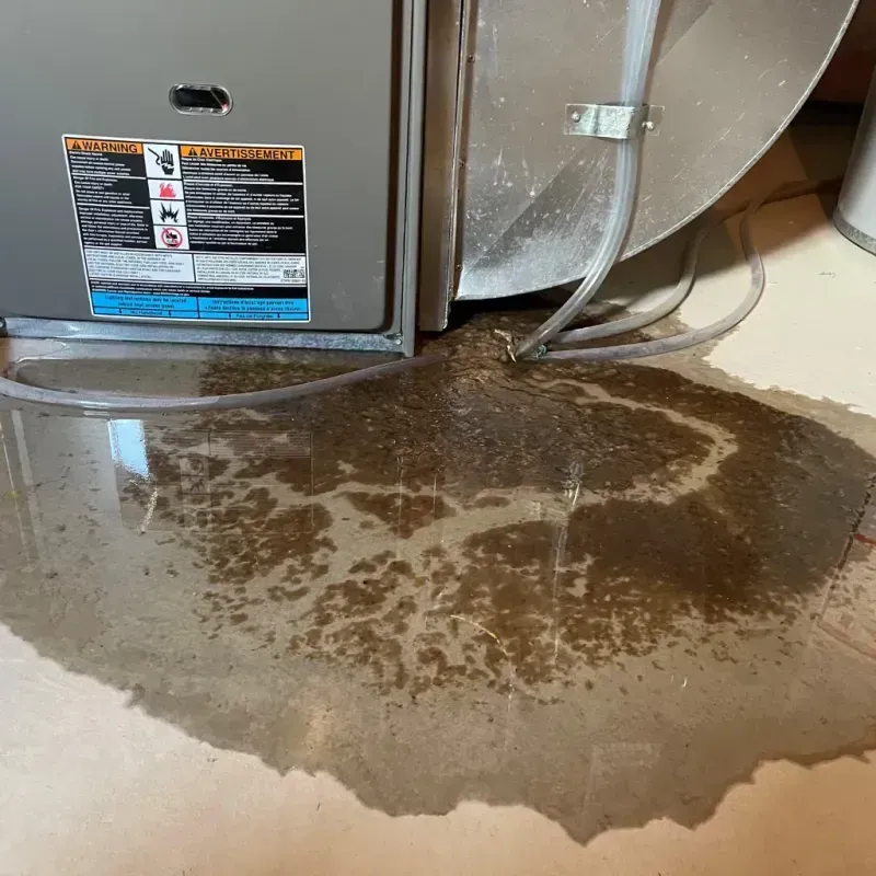 Appliance Leak Cleanup in Battle Creek, MI